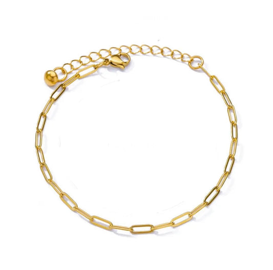 Link Gold Chain Anklet