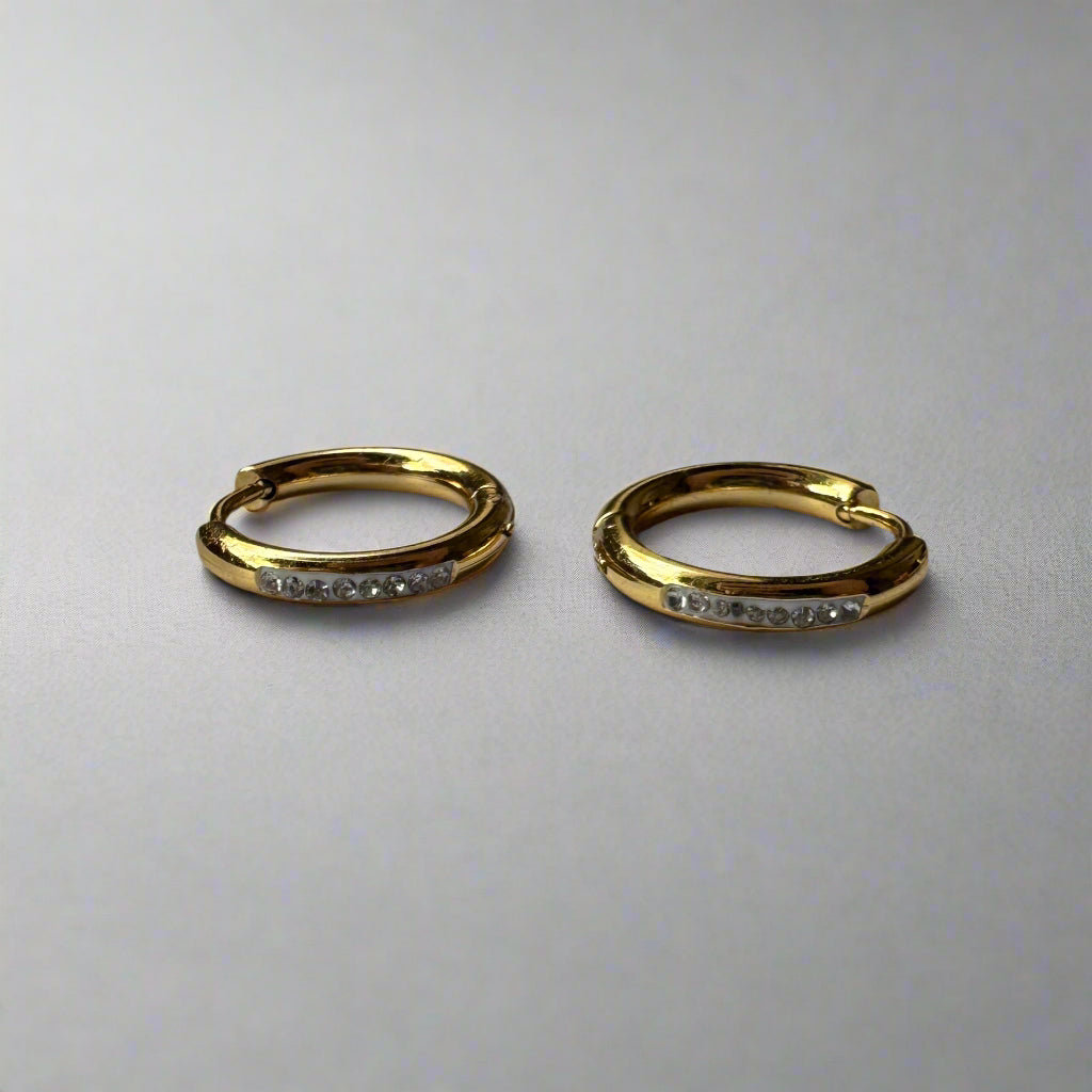 Small Gold Hoop Earrings